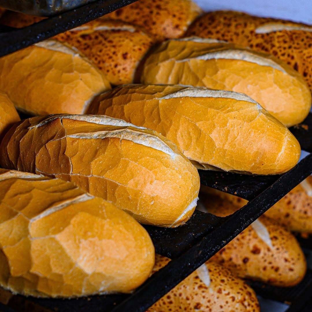 Pães franceses recém-saídos do forno